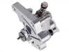 Kraftstoffpumpe Fuel Pump:21539993